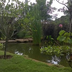 The Frog Khao Yai Resort